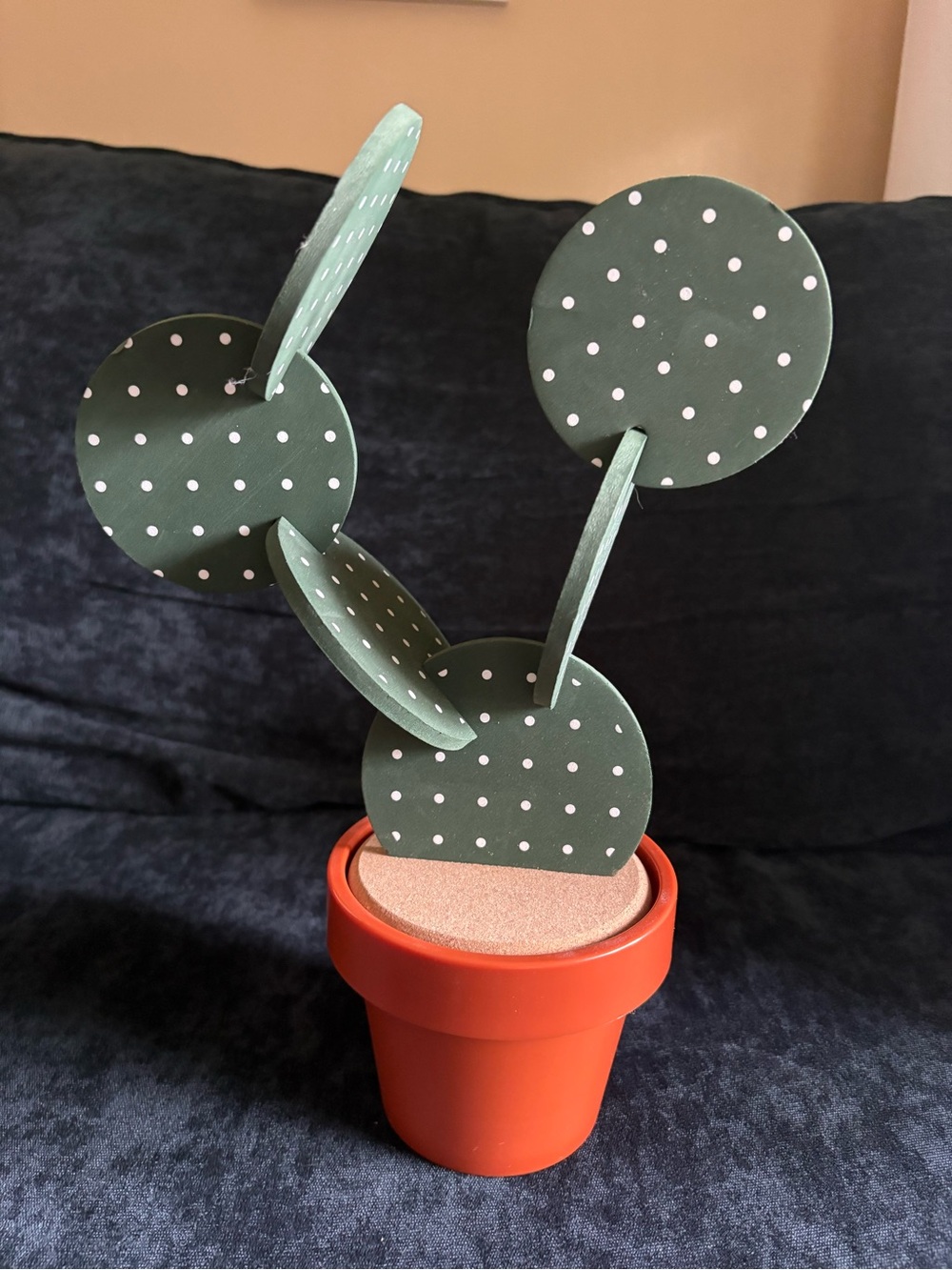 Cactus coaster set